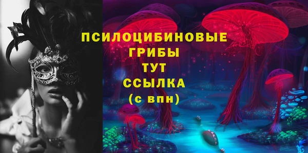 молекула духа Великий Новгород
