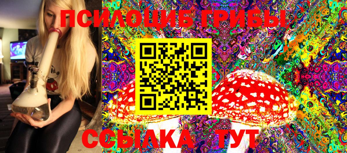 Псилоцибиновые грибы Psilocybine cubensis  Галлюциногенные грибы GOLDEN TEACHER  Вход с VPN  где купить наркоту  Рубцовск 