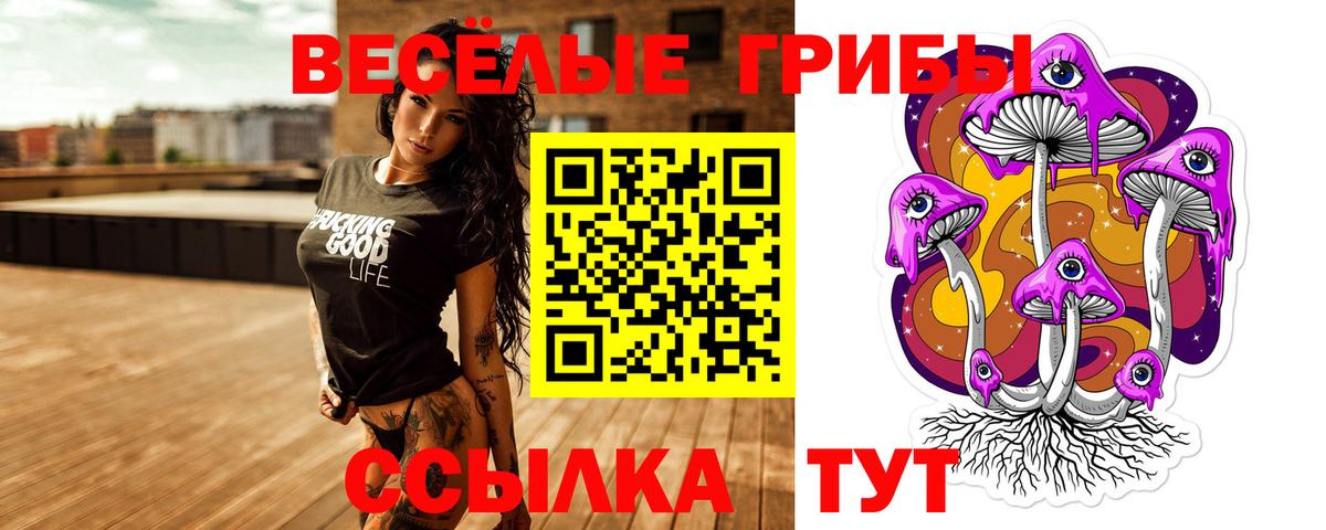 Галлюциногенные грибы Psilocybine cubensis Рубцовск