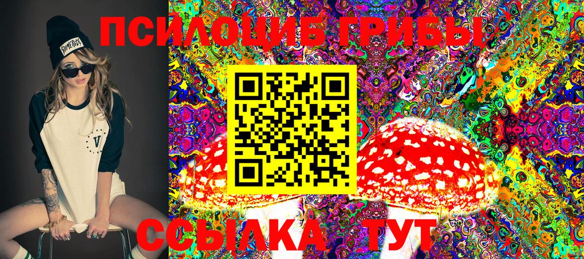 закладки  Рубцовск  Псилоцибиновые грибы ЛСД 